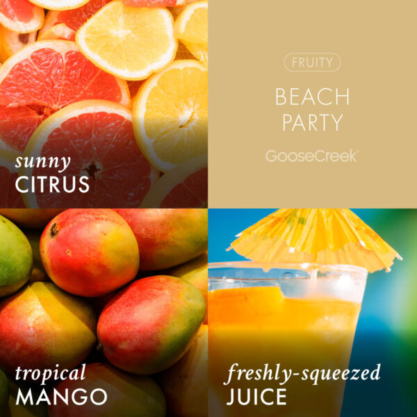 Beach Party 3-Wick Candle