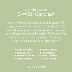 Butter Cookie 3-Wick Candle