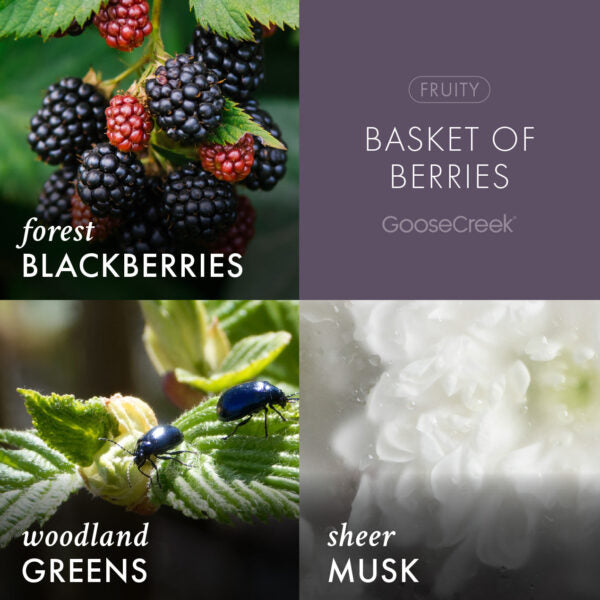Basket of Berries 3-Wick Candle