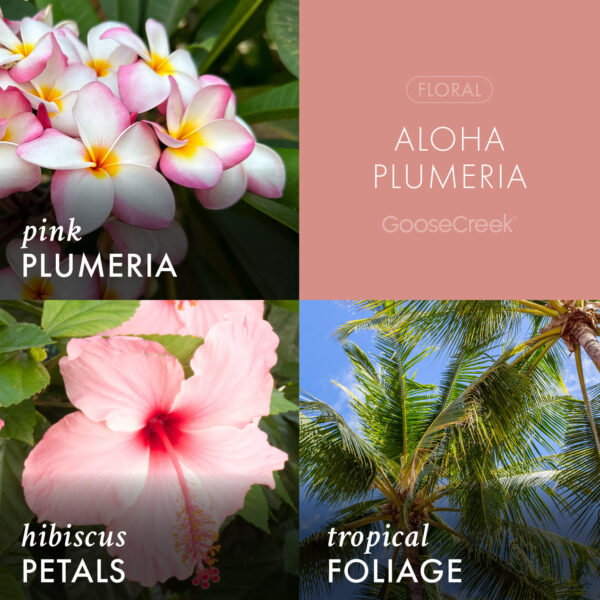 Aloha Plumeria 3-Wick Candle